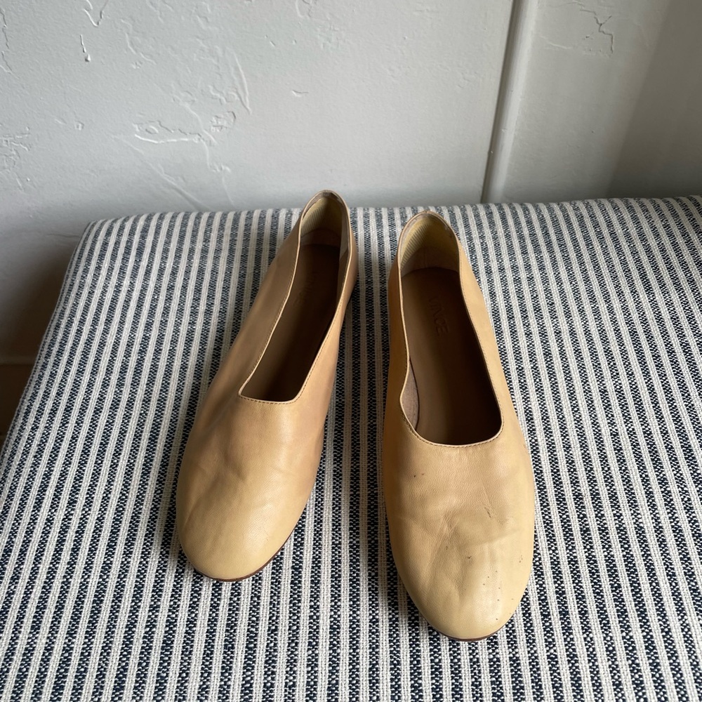 Vince Maxwell Flats - Picture 4 of 5